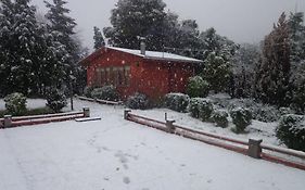 Puelche de Antuco